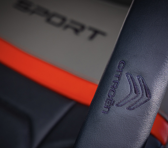 Seat Belt